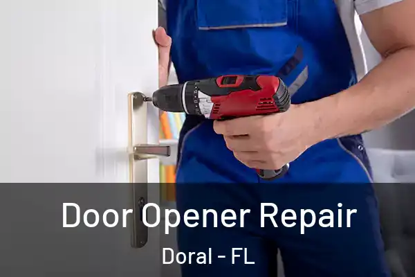  Door Opener Repair Doral - FL