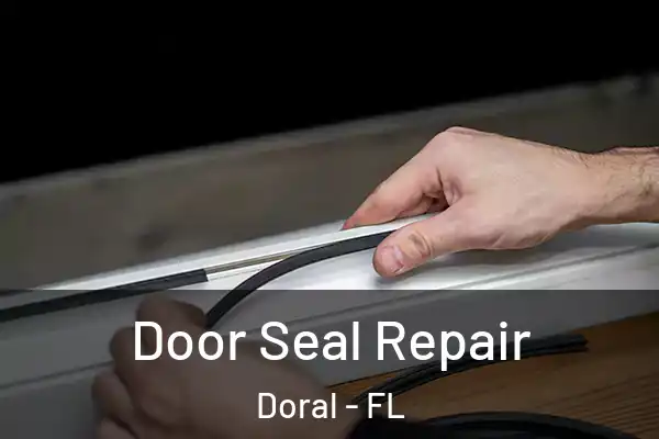  Door Seal Repair Doral - FL